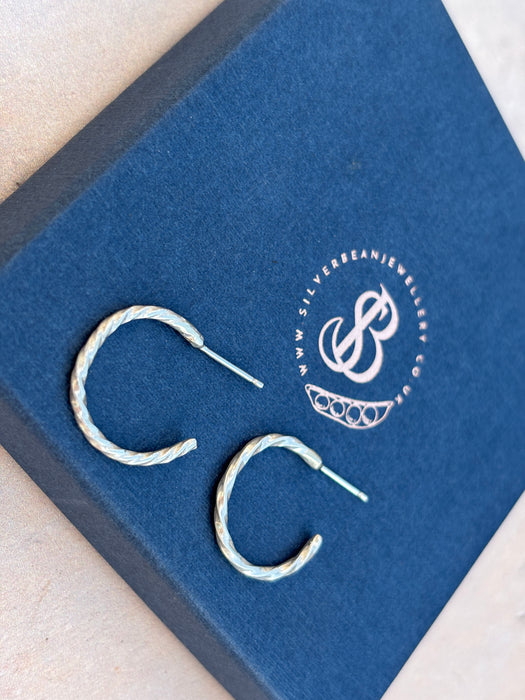 Frosted twisted wire earrings