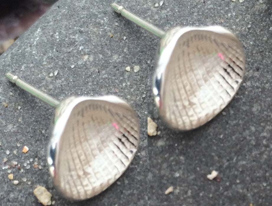 Silver Shell Earrings