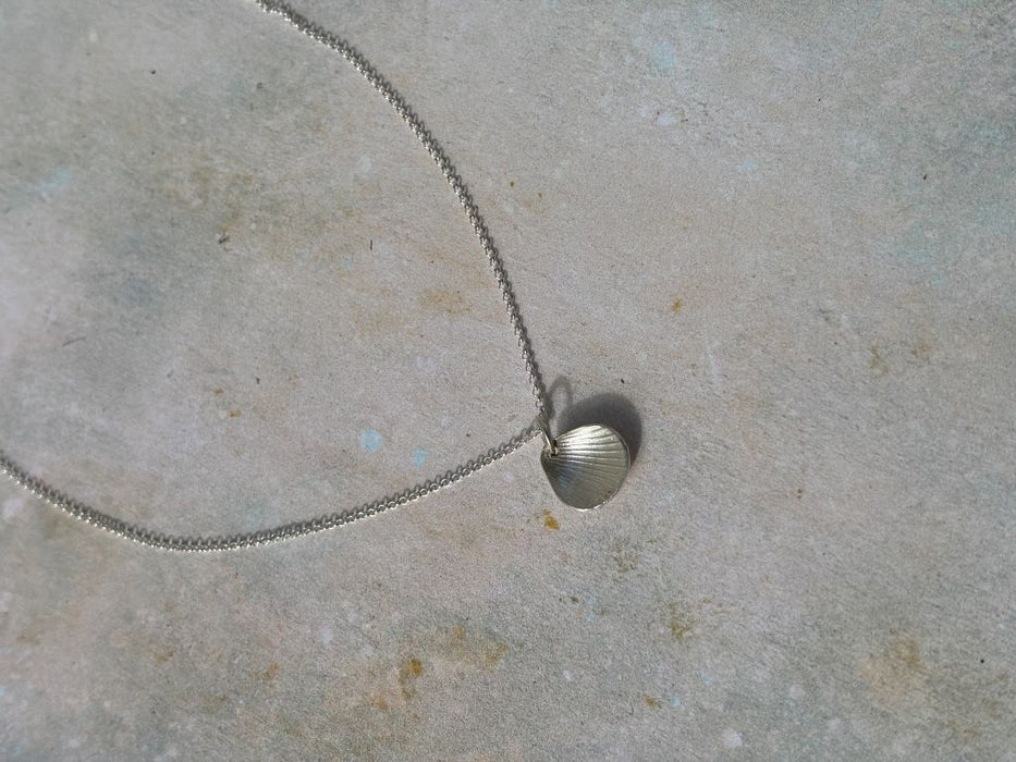 Shell Collection Necklace